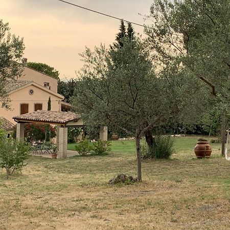 Casale La Civetta Panzió Larino Kültér fotó