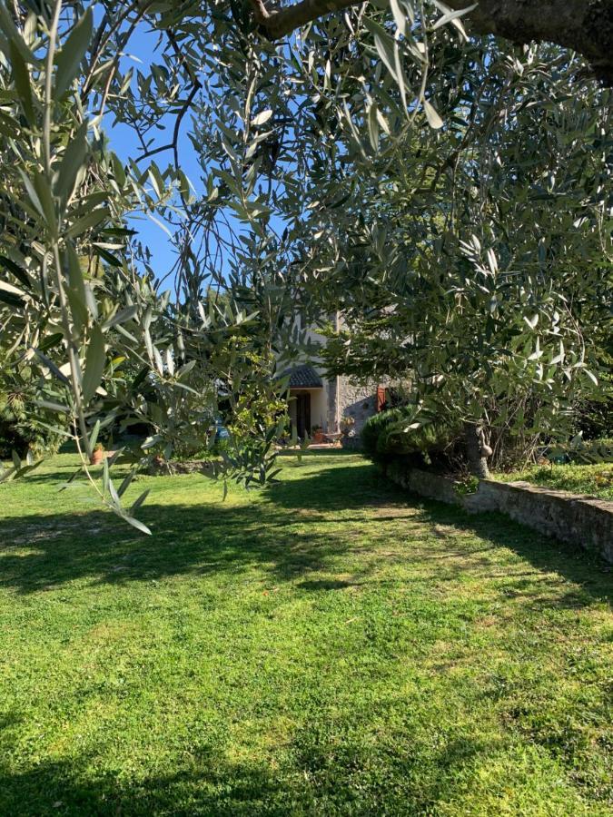 Casale La Civetta Panzió Larino Kültér fotó